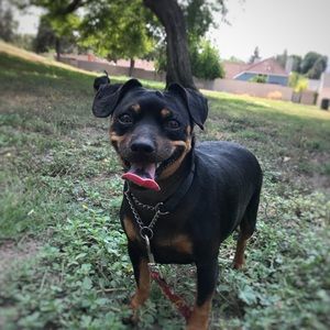 Meet your Posher, Layla